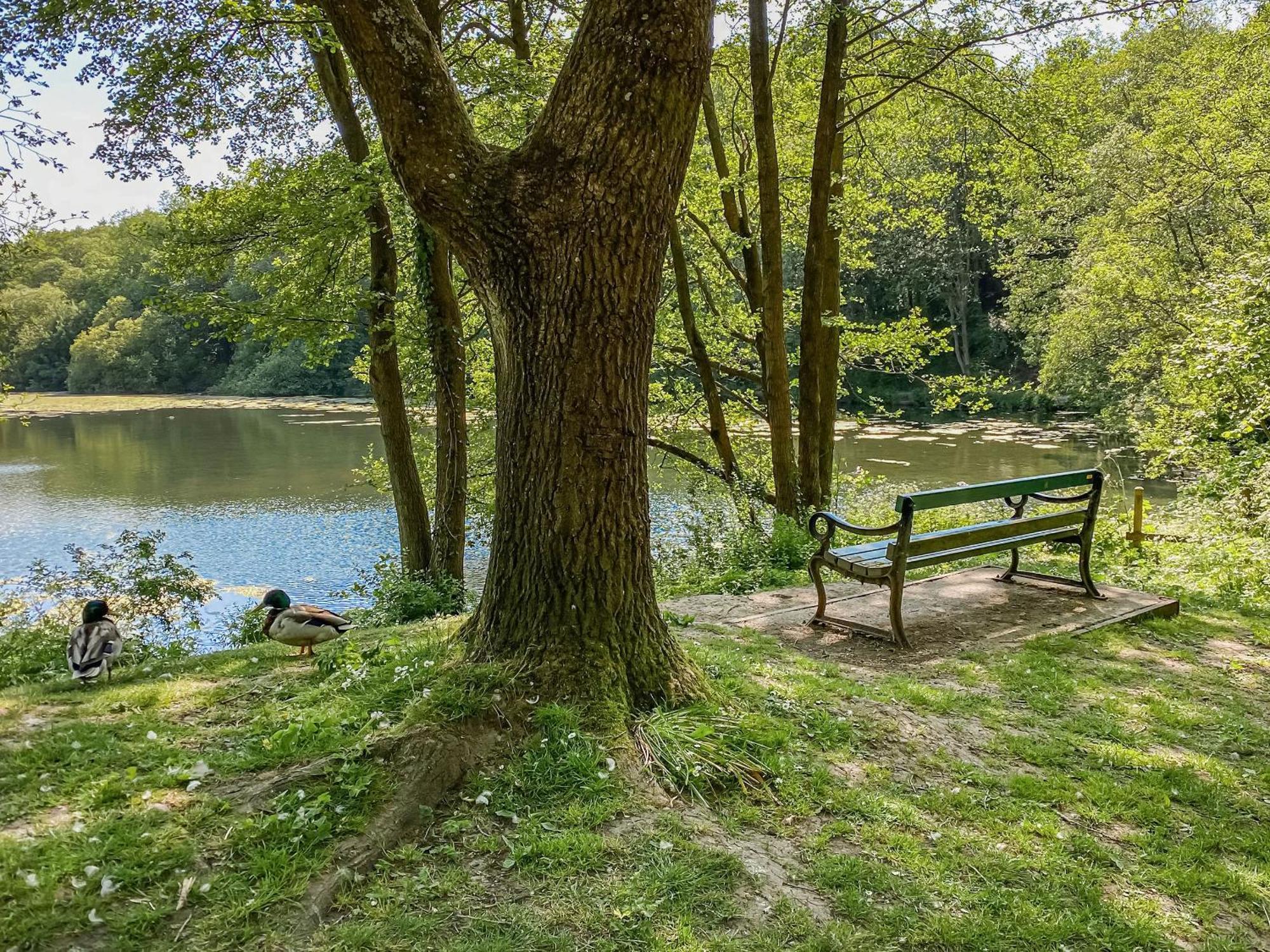 Serenity- Uk38551 Endon Экстерьер фото